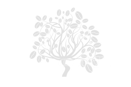 Kahve İkram Organizasyonu